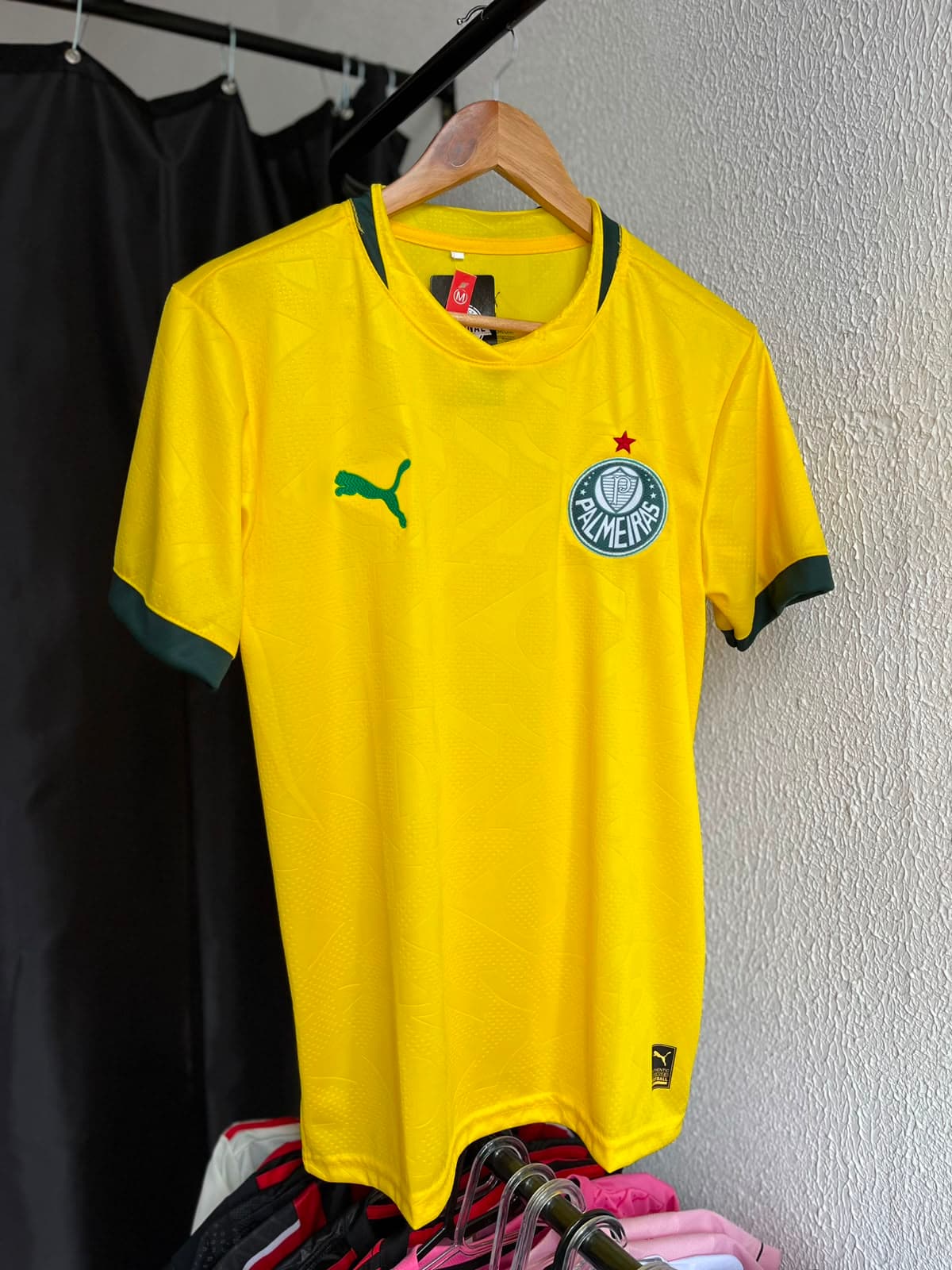 Palmeiras